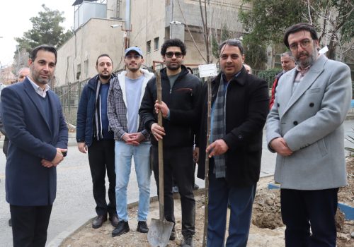 درختکاری مرکز دم