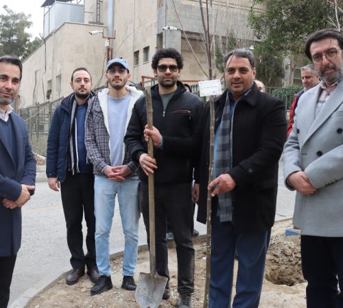 درختکاری مرکز دم